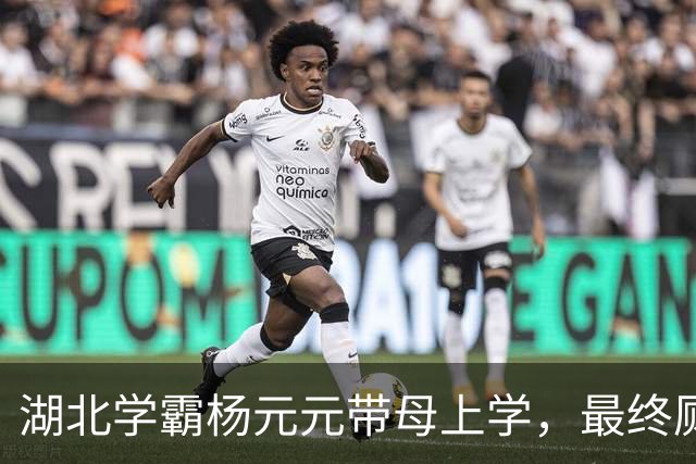 湖北学霸杨元元带母上学，最终厕所自缢身亡，活生生被母亲吸干血